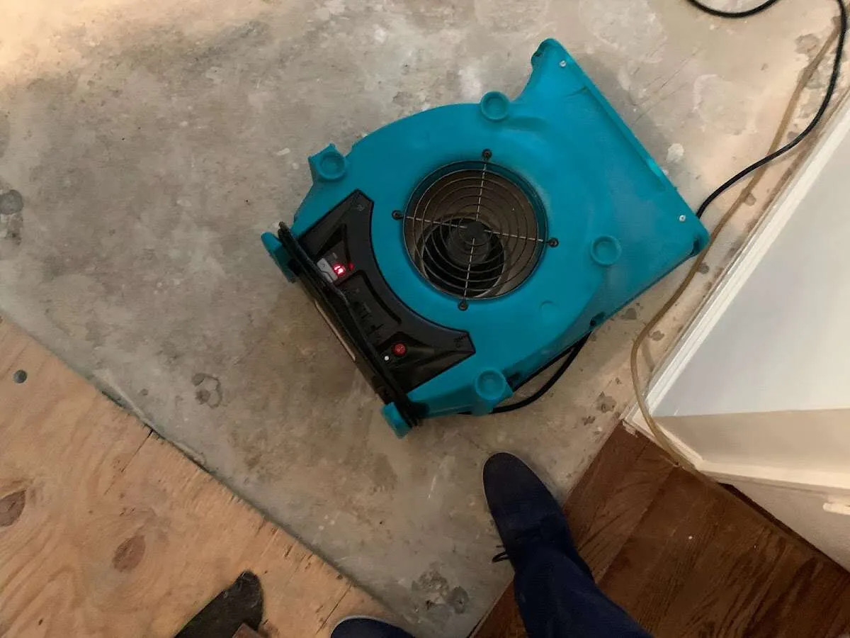 Air mover drying subfloor during Commercial Water Damage Restoration in Creedmoor